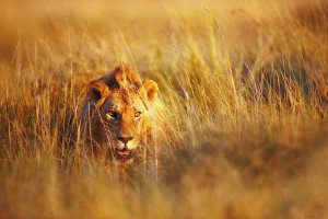 备战新高度,电竞国家队集训突破训练模式 备战新高度,电竞国家队集训突破训练模式